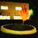 Burning Tree