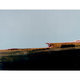 Untitled (Process Abstraction #1)