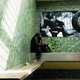 Berlin Cage – Planet of the Apes