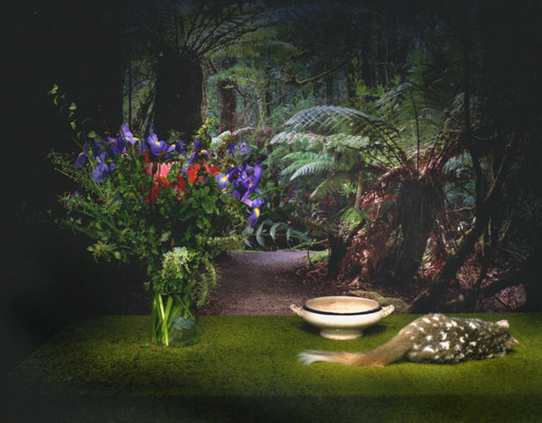 Quoll with Flowers and Forest