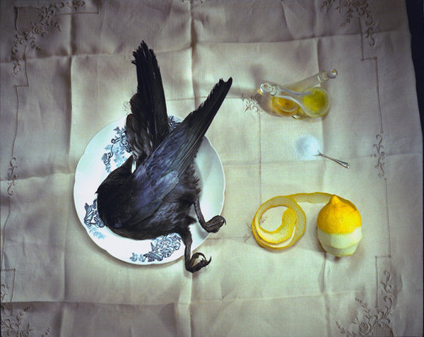 Crow with Salt