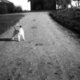 Sally