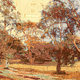 D.48 The Garden at Vaucluse House, Sydney