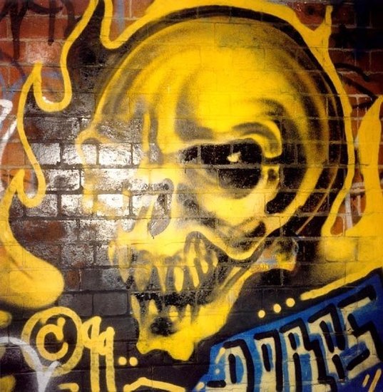 Skull
