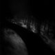 Untitled 0079