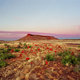 brumby mound
