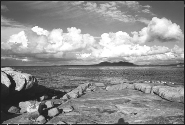 Vansitartt Island Bass Strait Tasmania